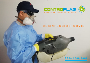 Fumigación los olivos